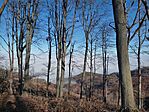 IMG_20241117_100744