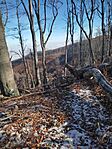 IMG_20241117_100757