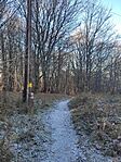 IMG_20241117_095904