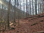 IMG_20241117_122356