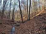 IMG_20241117_122804