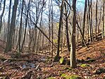 IMG_20241117_122947