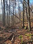 IMG_20241117_122951