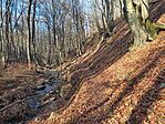 IMG_20241117_124349