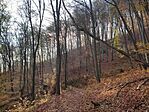 IMG_20241117_134755