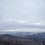 IMG_20241124_115103