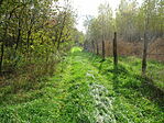 DSC09802