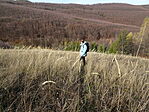 DSC09864