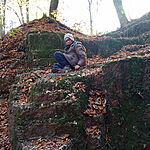 IMG_20241116_113148_272