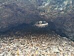 IMG_20241117_145925