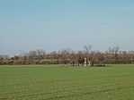IMG_20241116_102107