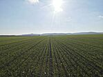 IMG_20241116_102813