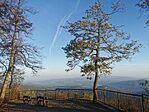 IMG_20241022_080734