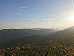 IMG_20241022_080745