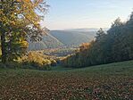 IMG_20241022_083051