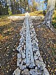 IMG_20241022_083117