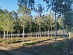 IMG_20241020_160310