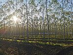 IMG_20241020_161212
