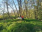 IMG_20241020_162004