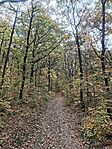 IMG_20241026_163224