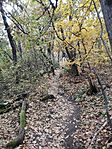 IMG_20241026_165759