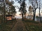 IMG_20241022_072445