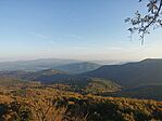 IMG_20241022_080756