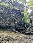 IMG_20240820_100012