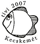 tivi2007 (2)
