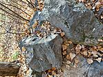 20241105_123100.jpg