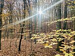 IMG_0980