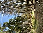 IMG_1005