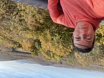 IMG_1068