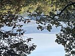 IMG_0726