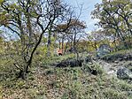 IMG_0732