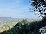 IMG_0795