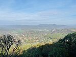 IMG_0798