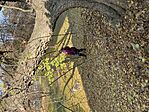 IMG_0080