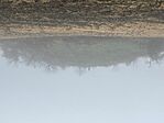 IMG_0227