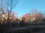 IMG_20241108_085445