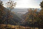 IMG_4321