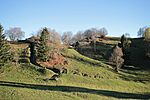 IMG_4356