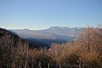 IMG_4360
