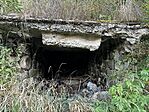 IMG_7121