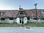 IMG_7125