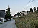 IMG_7126