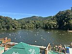 IMG_7617