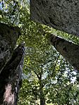 IMG_7628