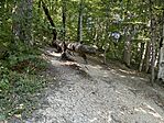 IMG_7631