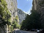 IMG_7337